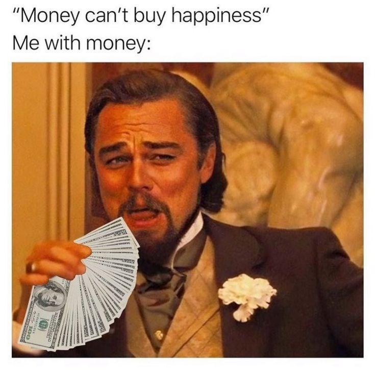 "Money can't buy happiness" Me with money: