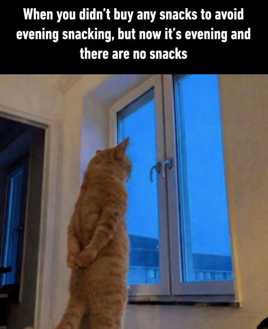 When you didn't buy any snacks to avoid evening snacking, but now it's evening and there are no snacks
