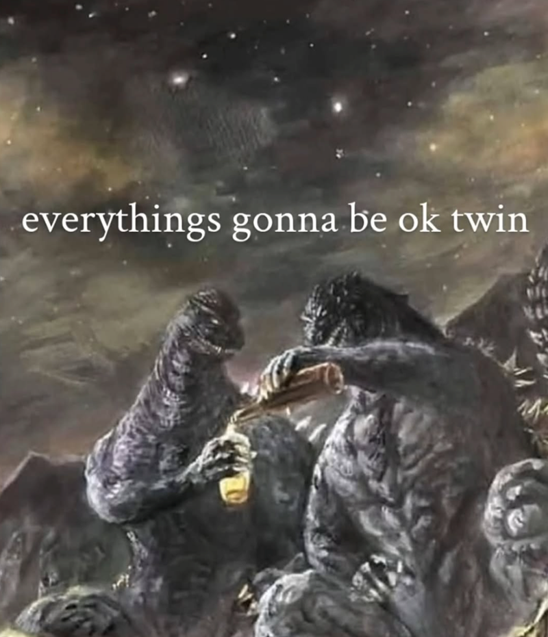 everythings gonna be ok twin