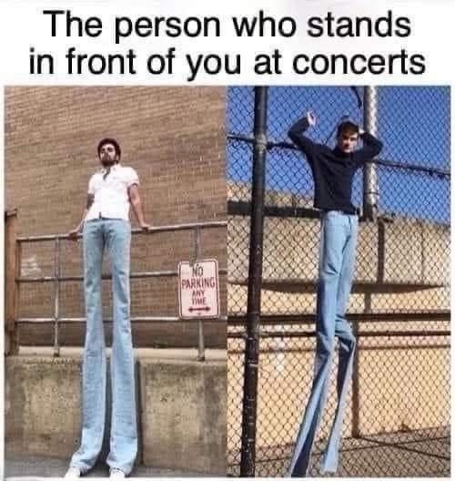 The person who stands in front of you at concerts NO PARKING ANY TIME
