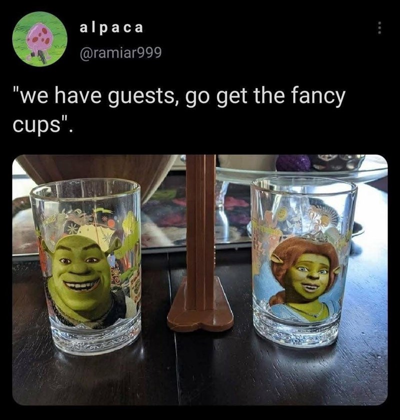 alpaca @ramiar999 "we have guests, go get the fancy cups".