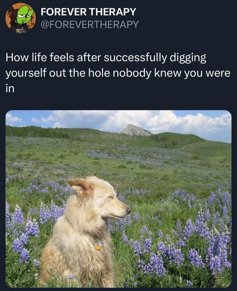 FOREVER THERAPY @FOREVERTHERAPY How life feels after successfully digging yourself out the hole nobody knew you were in