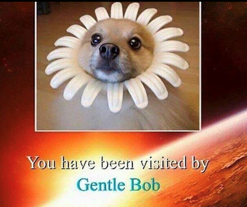 You have been visited by Gentle Bob