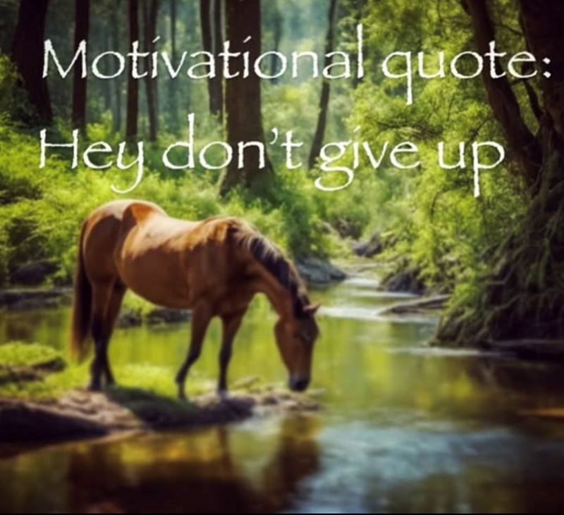Motivational quote: Hey don't give up