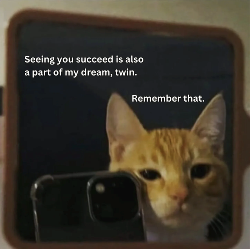 Seeing you succeed is also a part of my dream, twin. Remember that.