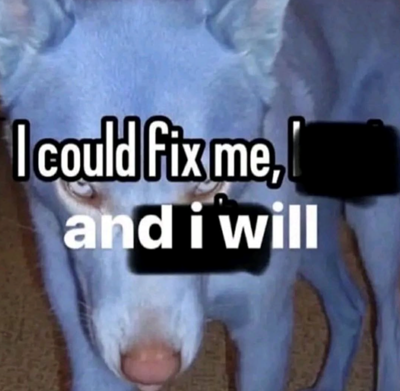 I could fix me, and i will
