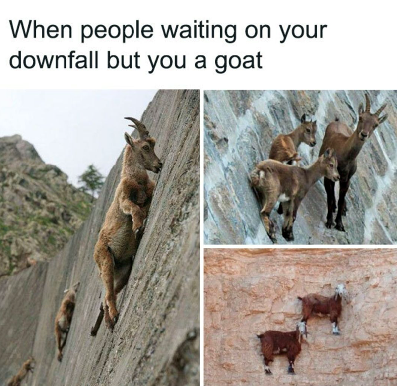 When people waiting on your downfall but you a goat