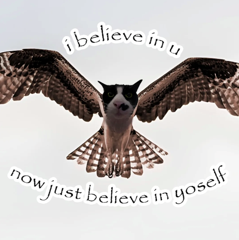 ¡ believe in u now ~ just believe in yoself