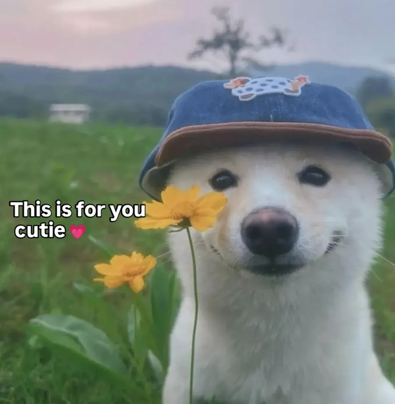 This is for you cutie