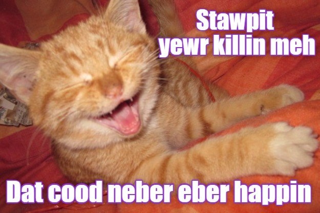 Cheezburger Image 10622996224