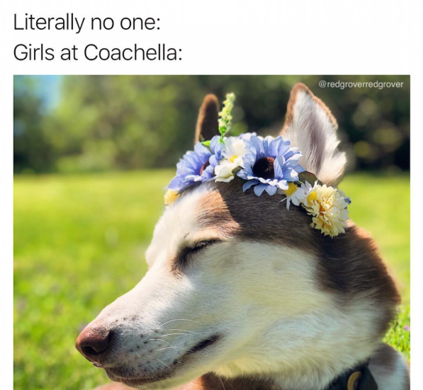 Literally no one: Girls at Coachella: @redgroverredgrover