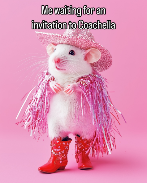 Me waiting for an invitation to Coachella