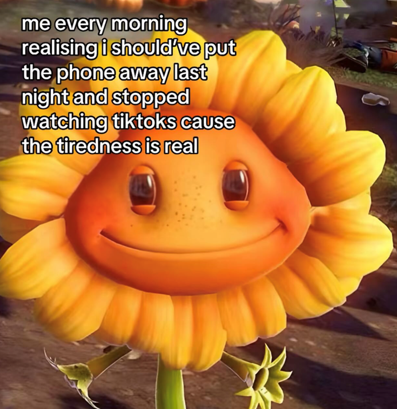 me every morning realising i should've put the phone away last night and stopped watching tiktoks cause the tiredness is real