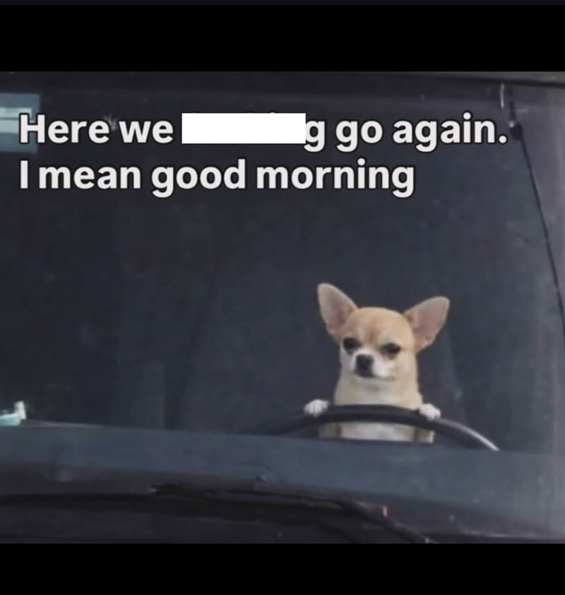 Here we g go again. I mean good morning