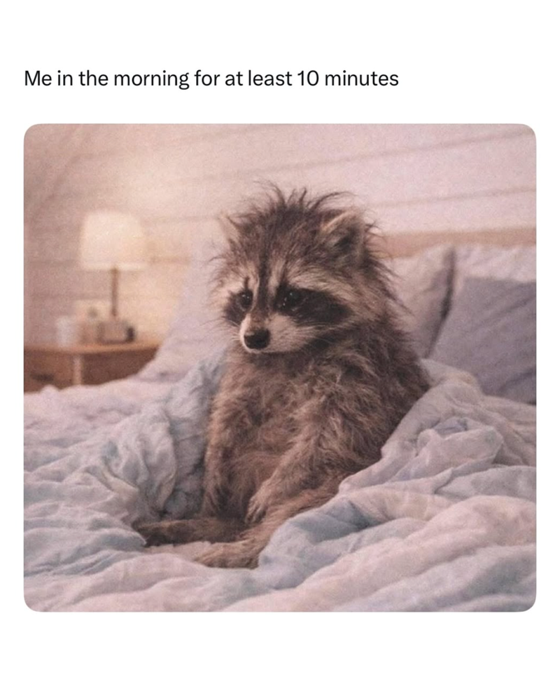 Me in the morning for at least 10 minutes