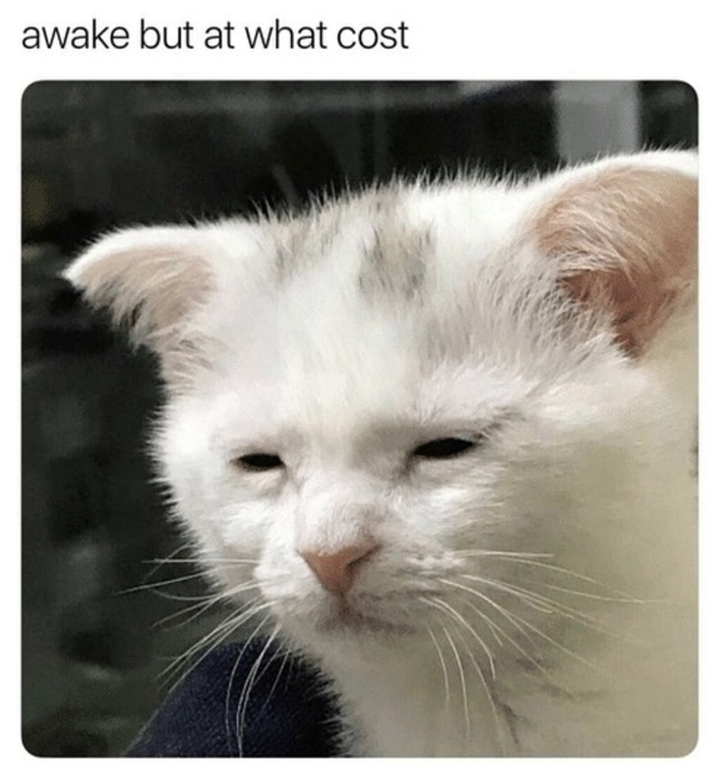 awake but at what cost