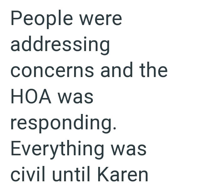 People were addressing concerns and the HOA was responding. Everything was civil until Karen