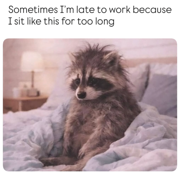 Sometimes I'm late to work because I sit like this for too long @corporatebish
