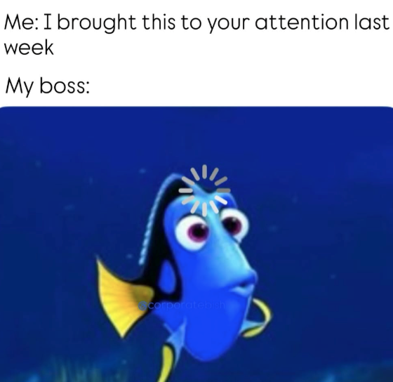 Me: I brought this to your attention last week My boss: corporatebish