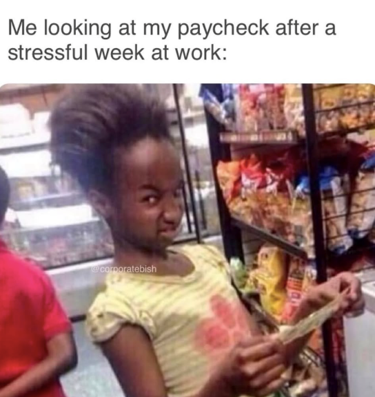 Me looking at my paycheck after a stressful week at work: @corporatebish