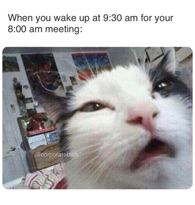 When you wake up at 9:30 am for your 8:00 am meeting: @corporatebish