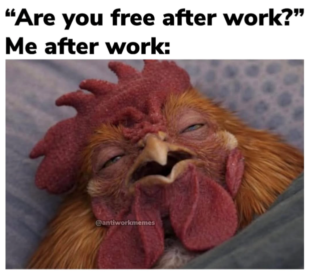 "Are you free after work?" Me after work: @antiworkmemes
