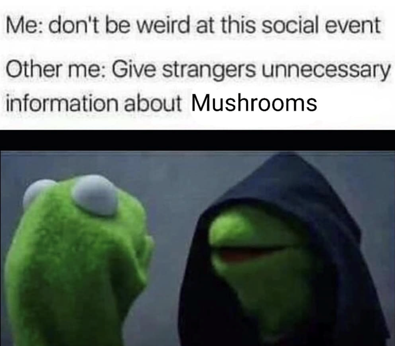 Me: don't be weird at this social event Other me: Give strangers unnecessary information about Mushrooms
