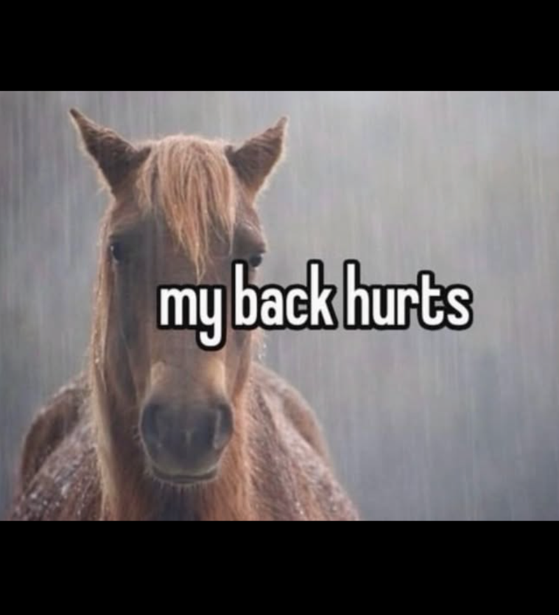 my back hurts