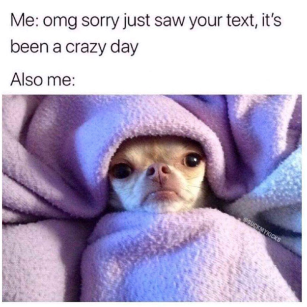 Me: omg sorry just saw your text, it's been a crazy day Also me: SUCKMYKICKS