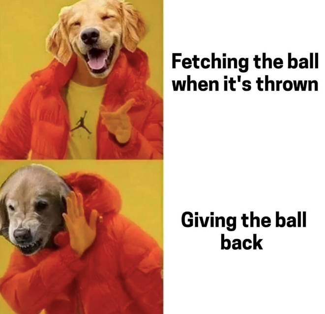Fetching the ball when it's thrown Giving the ball back