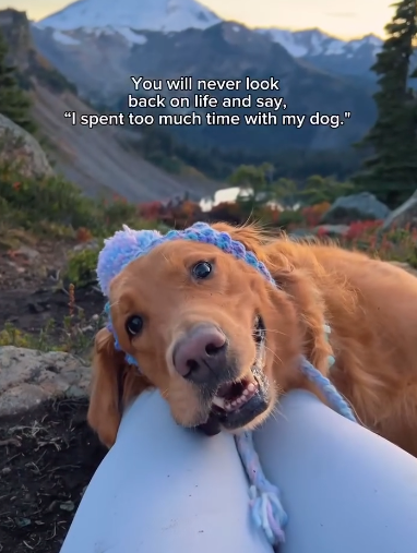 You will never look back on life and say, "I spent too much time with my dog."