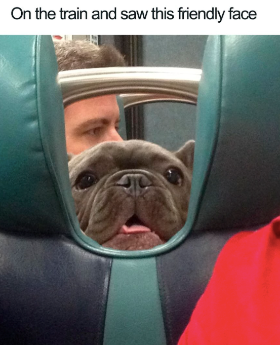 On the train and saw this friendly face