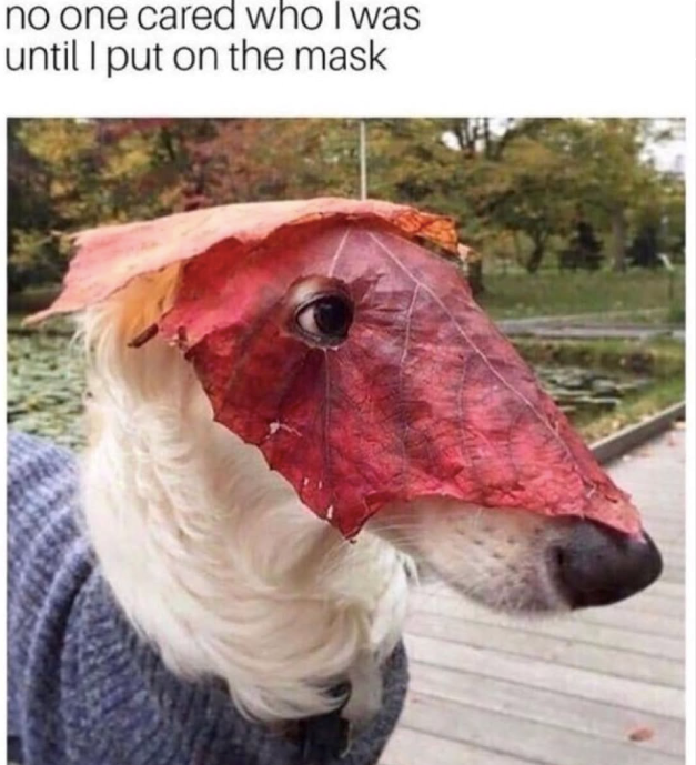 no one cared who I was until I put on the mask