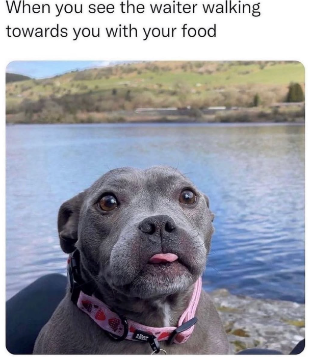 When you see the waiter walking towards you with your food BRez