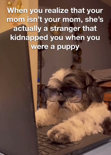 When you realize that your mom isn't your mom, she's actually a stranger that kidnapped you when you were a puppy