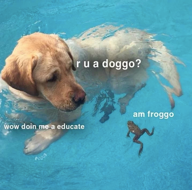 ru a doggo? wow doin me a educate am froggo Моно