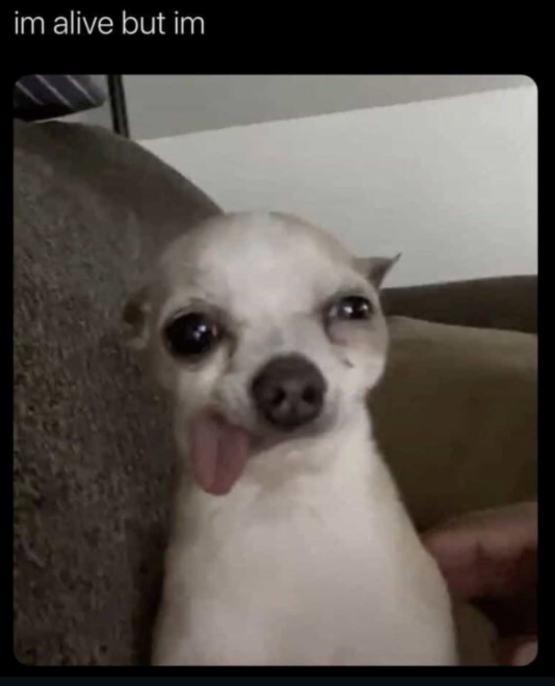 im alive but im GANG