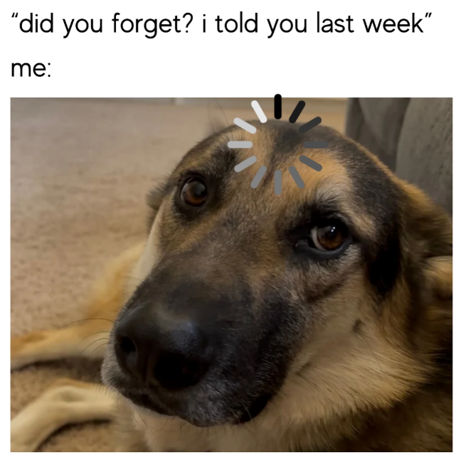 "did you forget? i told you last week" me: