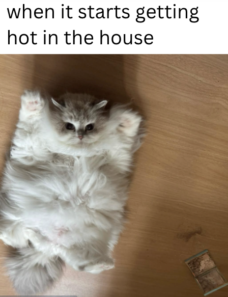 when it starts getting hot in the house
