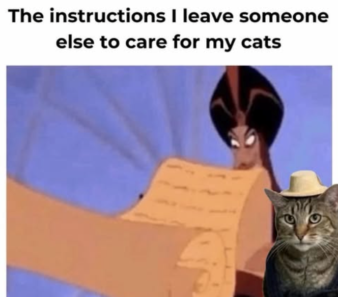 The instructions I leave someone else to care for my cats