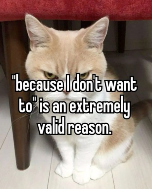 "because I don't want to" is an extremely valid reason.