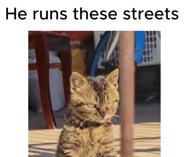 He runs these streets