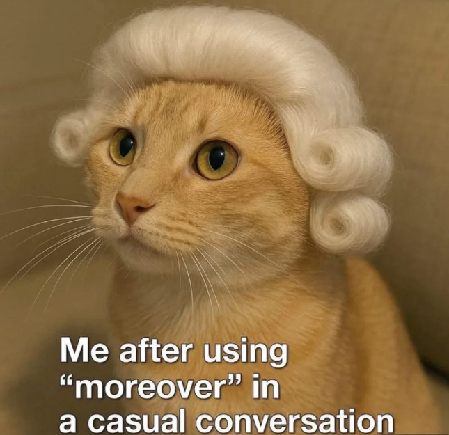 Me after using "moreover" in a casual conversation