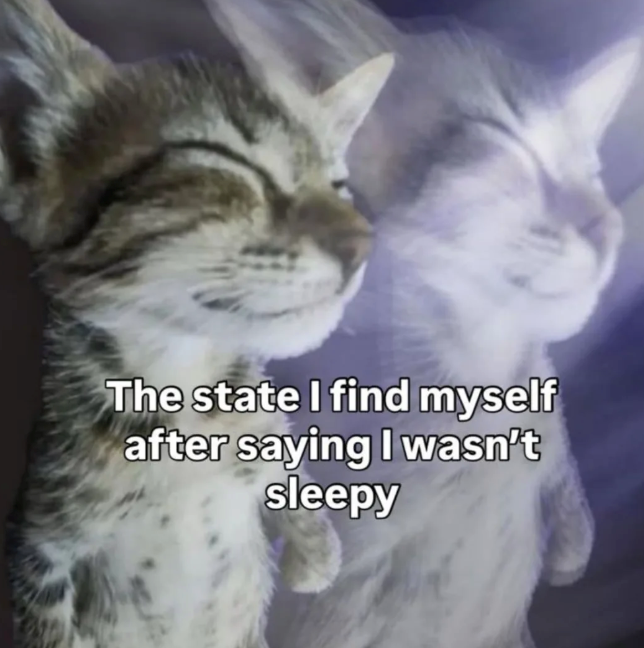The state I find myself after saying I wasn't sleepy