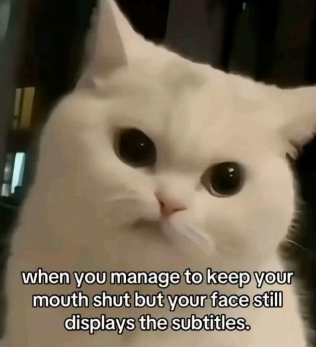 when you manage to keep your mouth shut but your face still displays the subtitles.