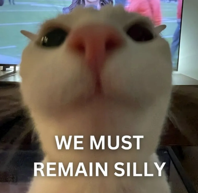 חד WE MUST REMAIN SILLY