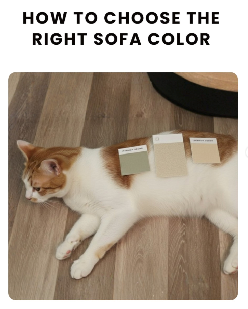 HOW TO CHOOSE THE RIGHT SOFA COLOR