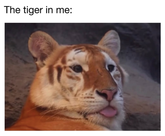 The tiger in me: