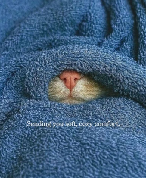 Sending you soft, cozy comfort.