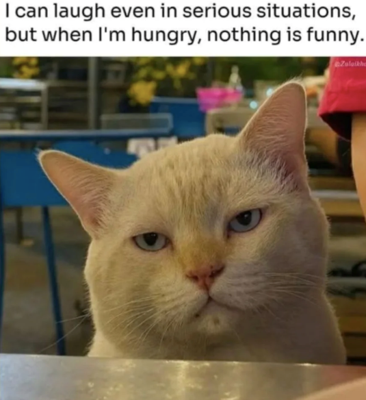 I can laugh even in serious situations, but when I'm hungry, nothing is funny. Zulaikha